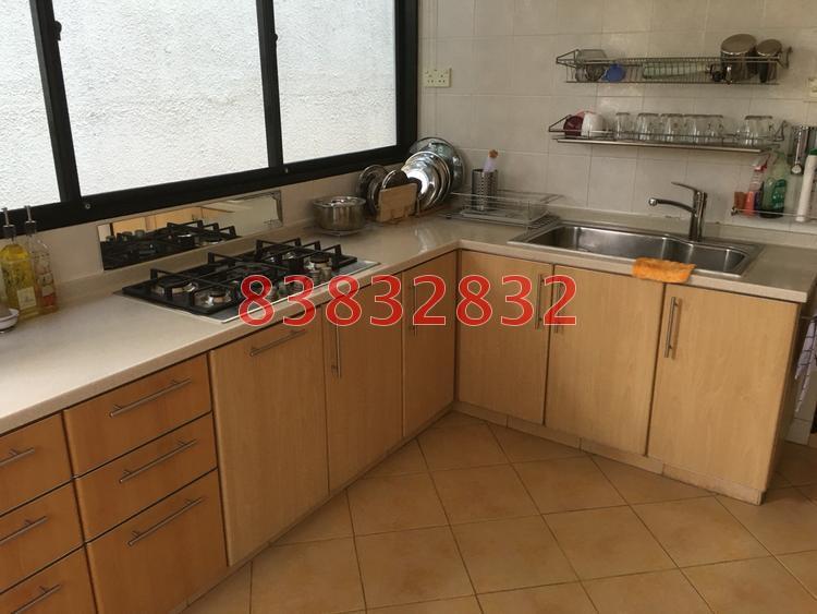 Serangoon Garden Estate (D19), Terrace #114362532